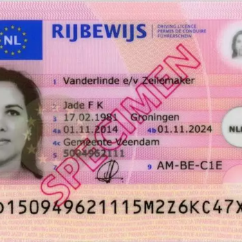 Buy Dutch driving license