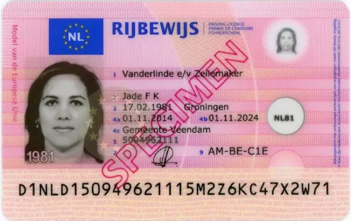 Buy Dutch driving license